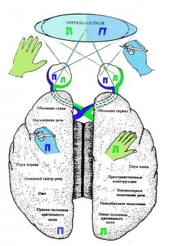 sites/default/files/Ris_14_1.JPG